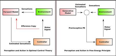 Challenges to the Modularity Thesis Under the Bayesian Brain Models